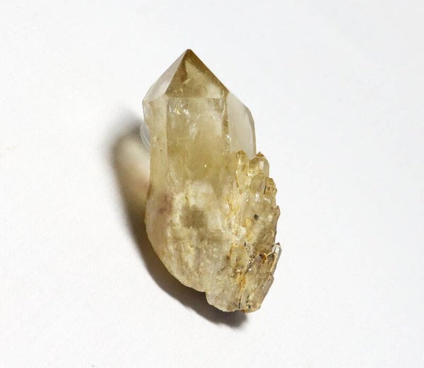 Kundalini citrien
