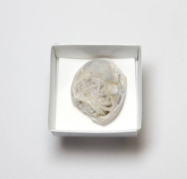 Gekristalliseerde schelp