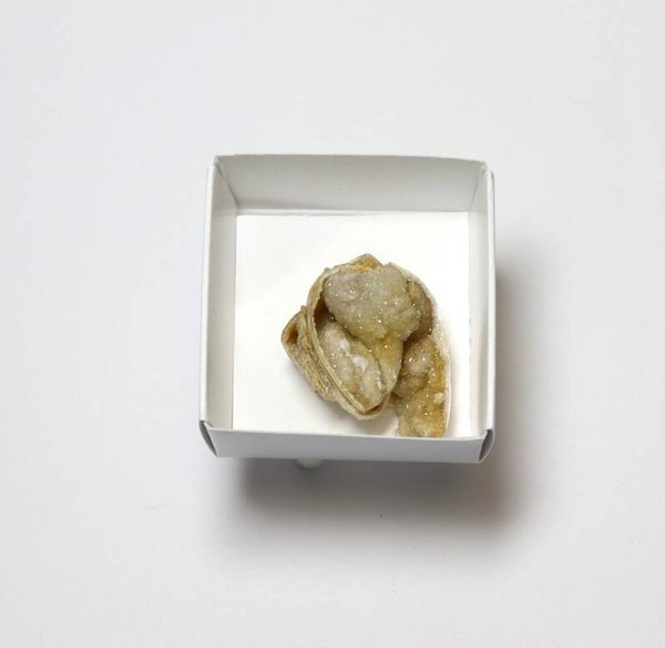 Gekristalliseerde schelp