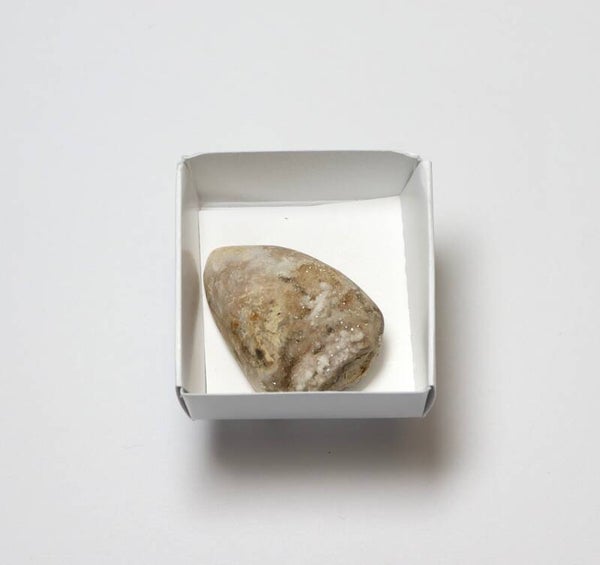 Gekristalliseerde schelp
