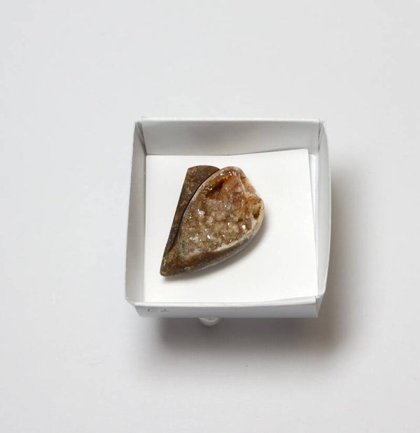 Gekristalliseerde schelp