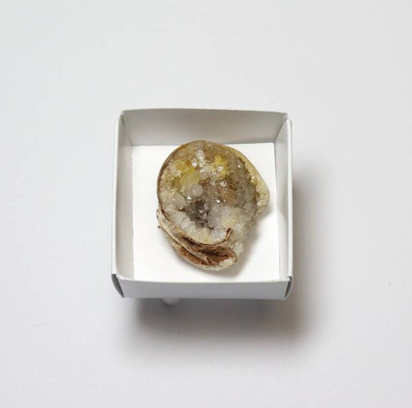 Gekristalliseerde schelp