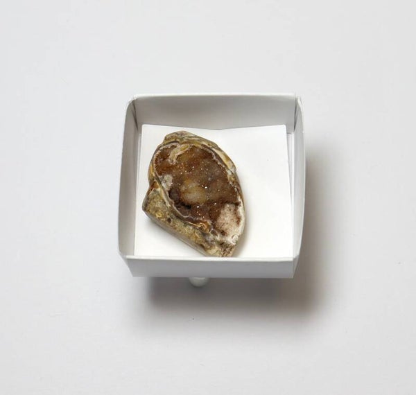 Gekristalliseerde schelp