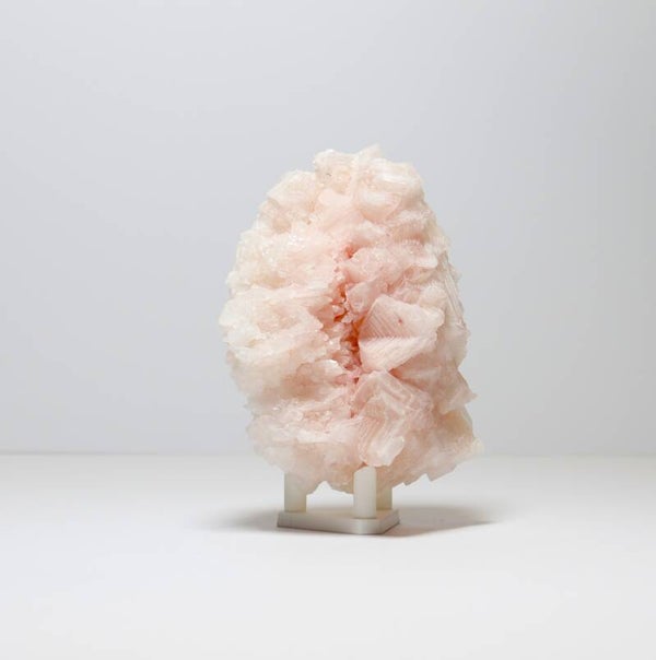 Roze haliet
