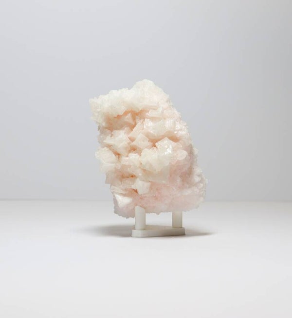 Roze haliet