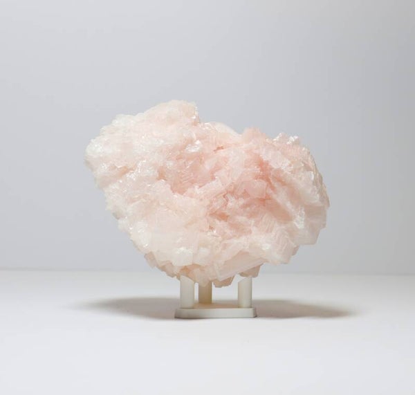 Roze haliet