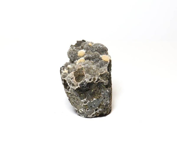 Thomnosiet