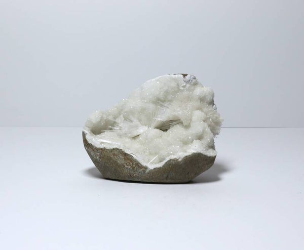 Scoleciet op witte aragoniet