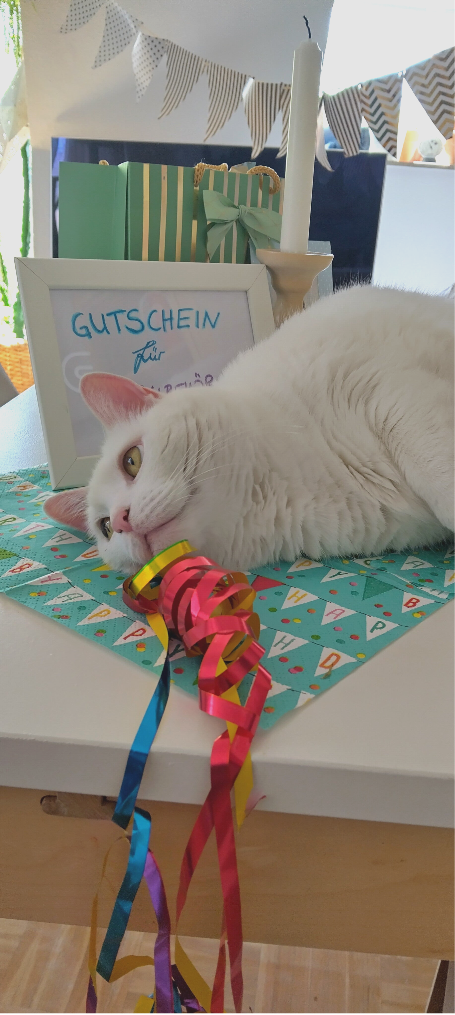 Tiere sind ein Geschenk