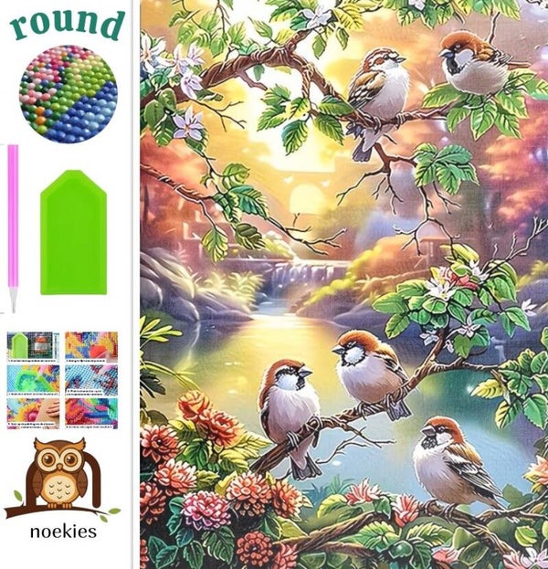 nr 119 Diamond Painting kleurrijke vogeltjes 50x40cm (rond)
