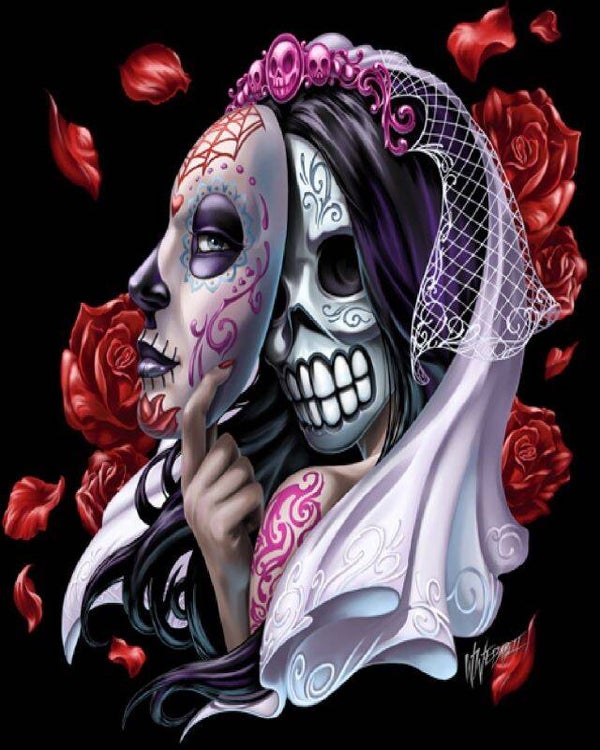 50x40cm Diamond Painting skull maskers nr 2011