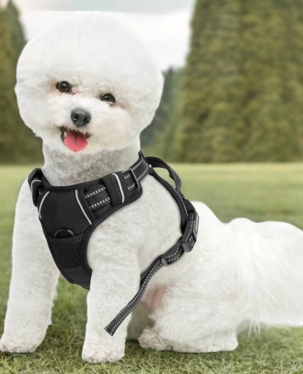 Nobleza 42ZHW - Hondenharnas - Hondentuigje - anti trek - S - Zwart