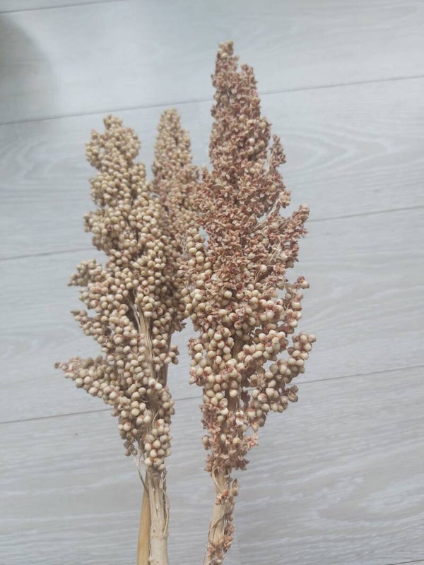 3x gedroogde takken 68cm hoog