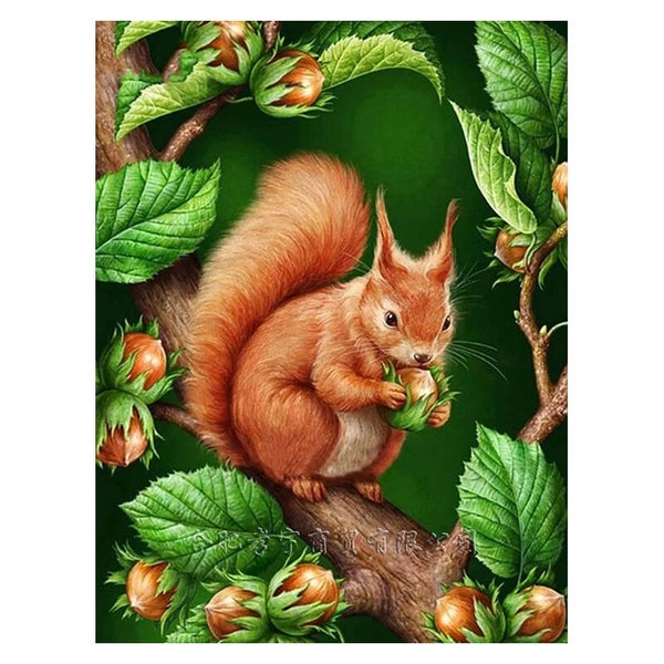 nr 2107 Diamond Painting Eekhoorn 30x20cm (rond)