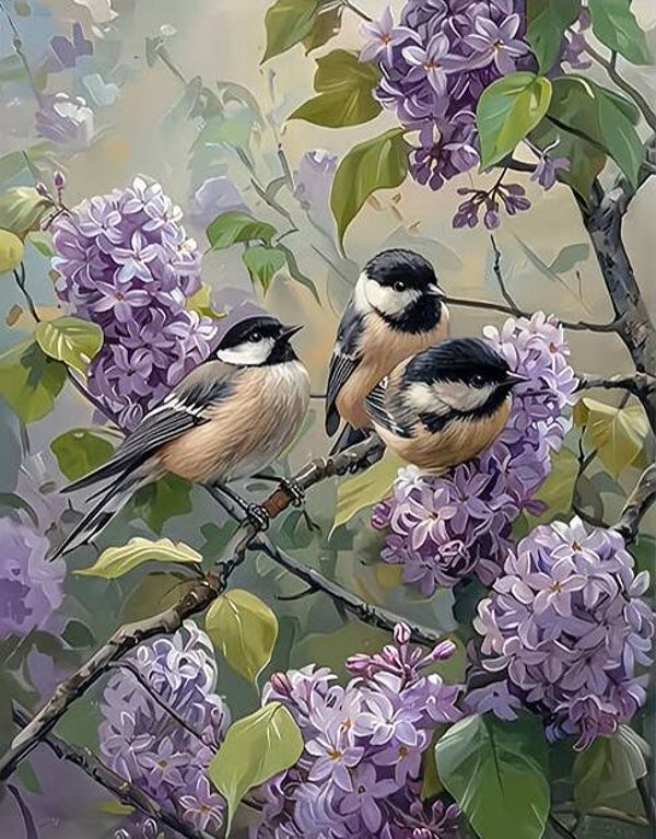 30x20cm Diamond Painting 3 vogeltjes (rond) nr 420