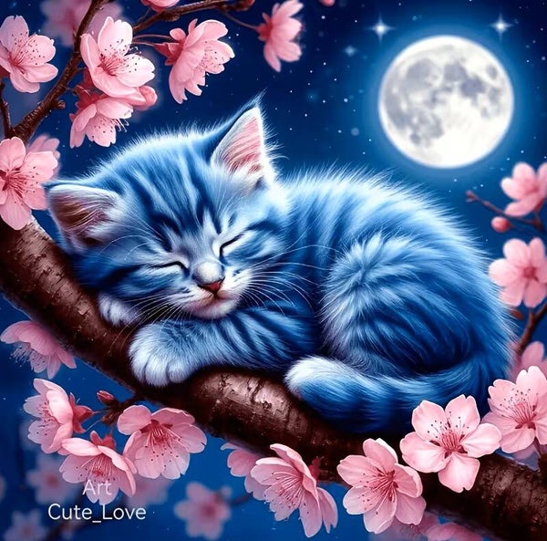 20x20cm Diamond painting nr 827
