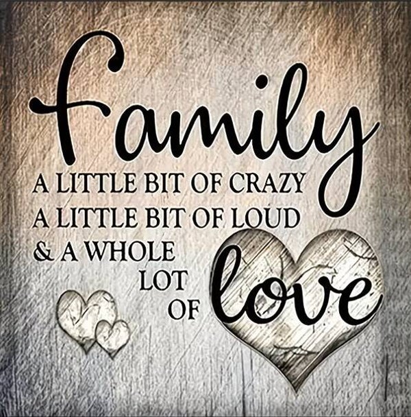 nr 562 family love