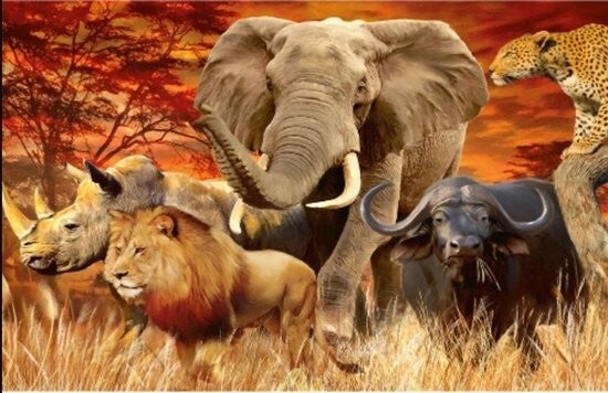 Diamond Painting big 5 dieren van Africa 50x40cm (rond)