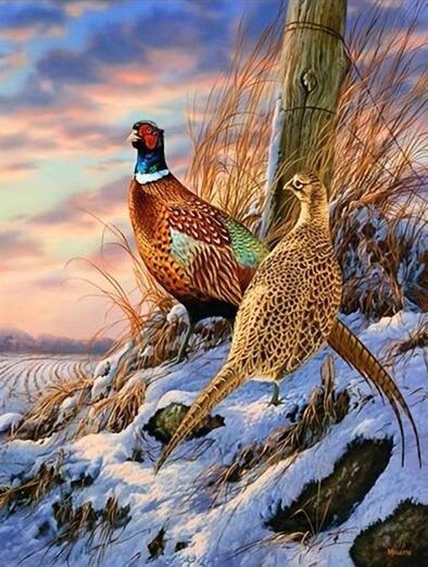 40x30cm Diamond Painting fazanten in de sneeuw nr 690