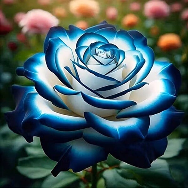 nr 318 Diamond Painting blauwe roos 30x30cm