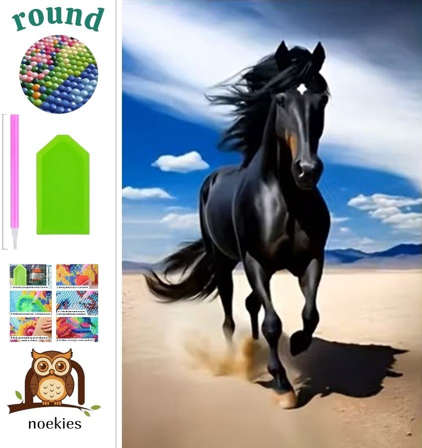 nr 666 Diamond Painting paard op het strand 40x30cm (rond)