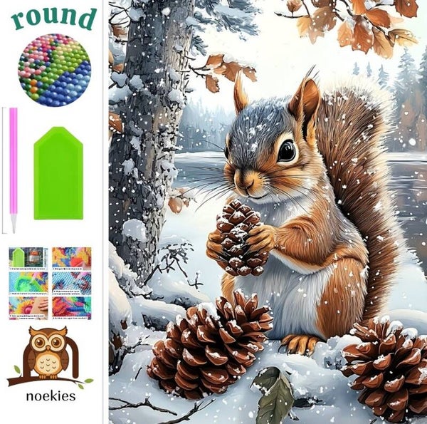 nr 94 Diamond Painting eekhoorn sneeuw 50x40cm (rond)