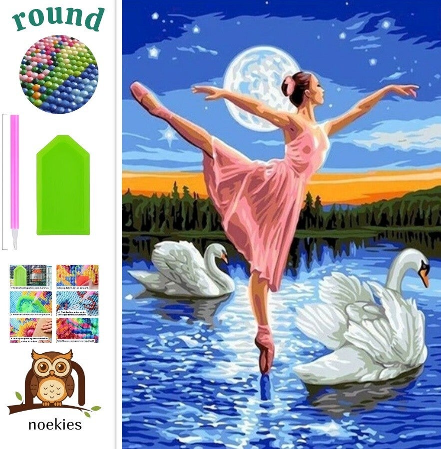 nr 2093 Diamond Painting zwanenmeer 30x20cm (rond)