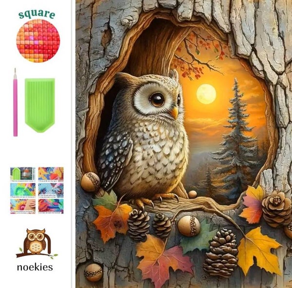 nr 49 Diamond Painting Uil in boom 50x40cm (vierkant)