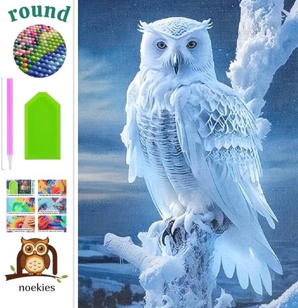 nr 100 Diamond Painting sneeuw Uil 50x40cm (rond)