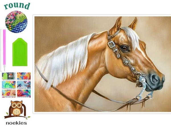 nr 101 Diamond Painting paard 50x40cm (rond)