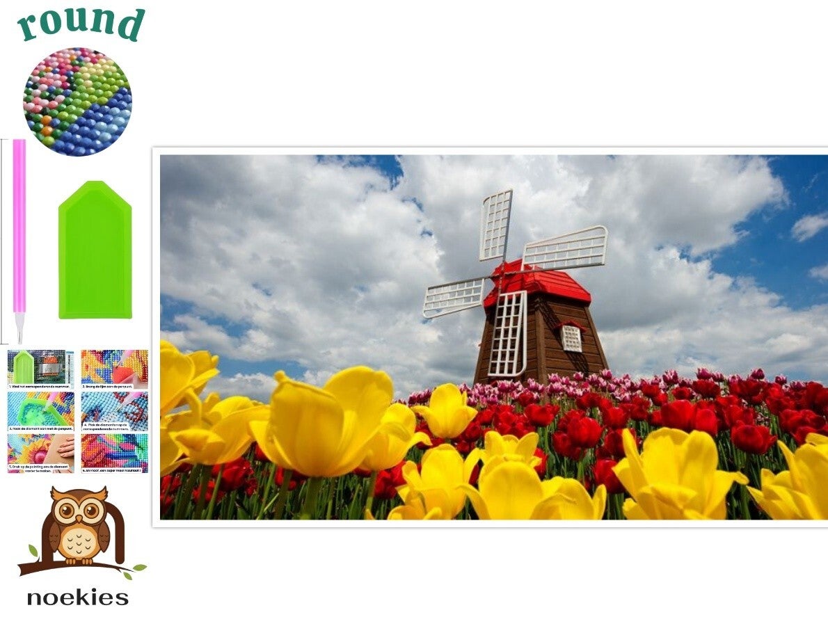 nr 2103 Diamond Painting molen tulpen 30x20cm (rond)