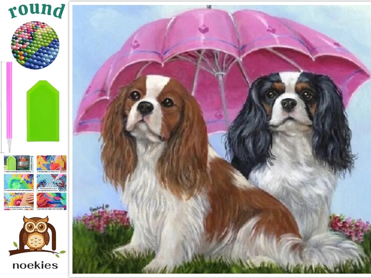 nr 2107 Diamond painting honden paraplu 30x20cm (rond)