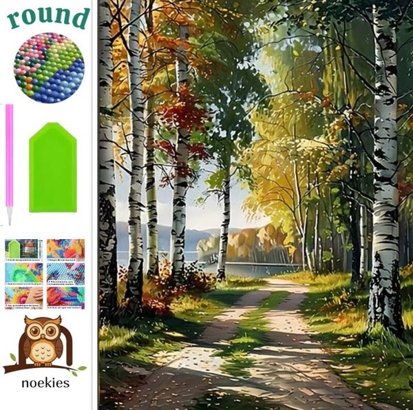 nr 111 Diamond Painting berken bospad 50x40cm (rond)