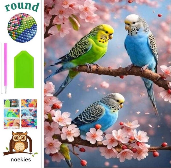 nr 421 Diamond Painting Vogels op tak 30x20cm (rond)