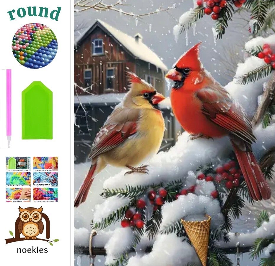 nr 224 Diamond Painting sneeuw vogels 40x30cm (rond)