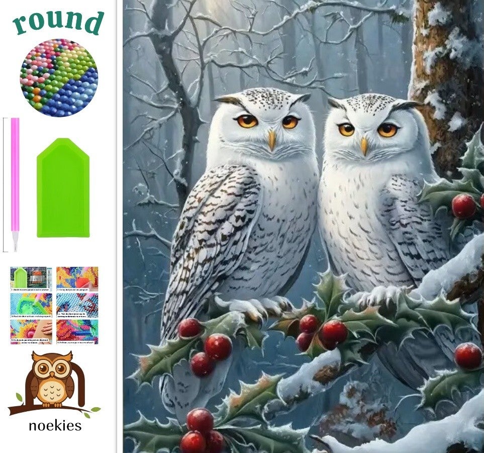 nr 230 Diamond Painting winter uilen 40x30cm (rond)