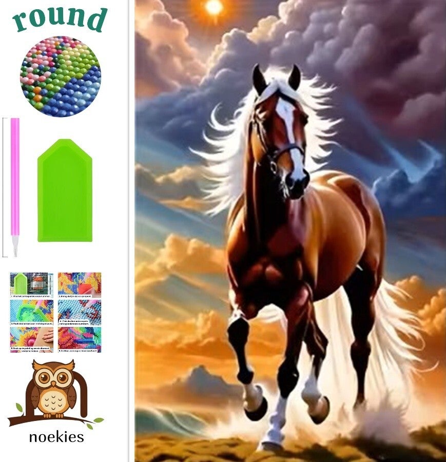 nr 663 Diamond Painting paard rennend zand 40x30cm (rond)