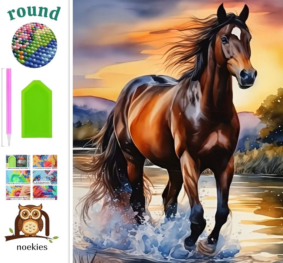 nr 280 Diamond Painting paard in water 40x30cm (rond)