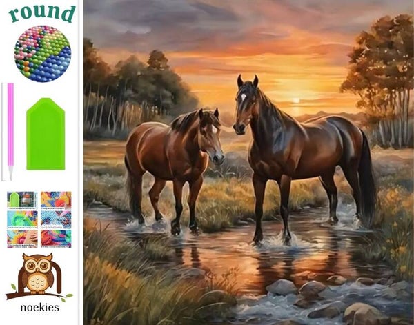 nr 536 Diamond Painting paarden 20x20cm (rond)