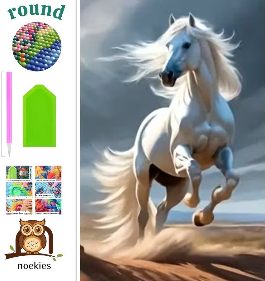 nr 664 Diamond Painting wit paard 40x30cm (rond)