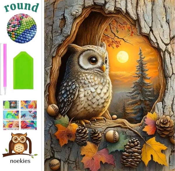 nr 83 Diamond Painting herst Uil 50x40cm (rond)