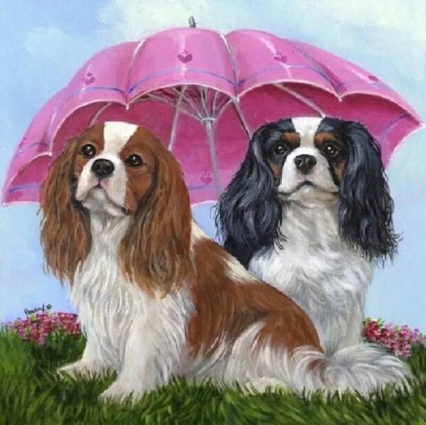 Diamond painting honden onder paraplu 30x20cm (rond)