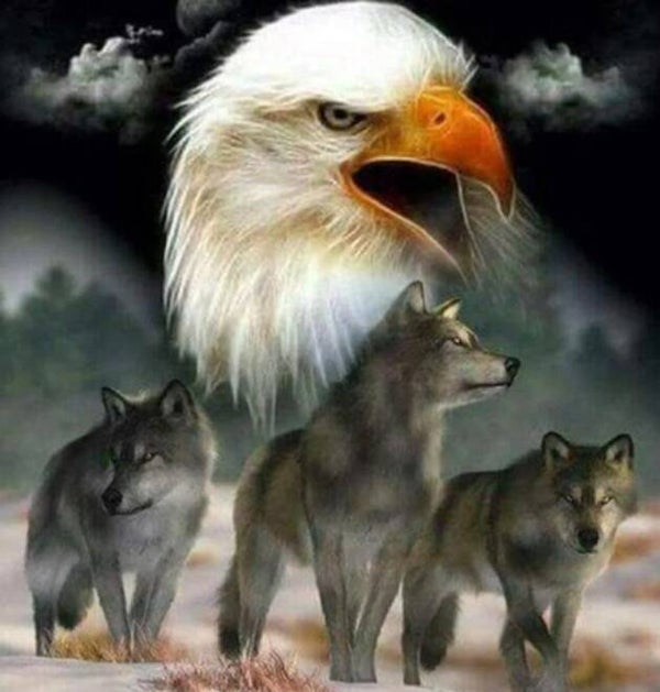 Diamond Painting eagle vogel 40x30cm (ronde steentjes)