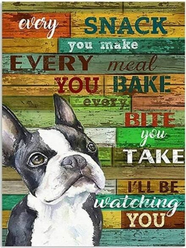 Diamond Painting dog met teksten 50x40cm (rond)