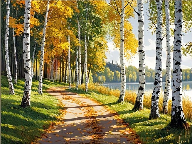 nr 111 Diamond Painting berken bospad 50x40cm (rond)