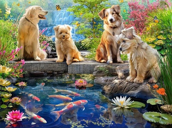 50x40cm Diamond Painting honden karpers (vk) nr 1159
