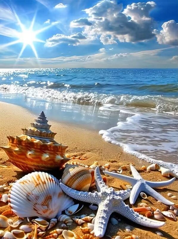nr 184 Diamond Painting schelpen strand 40x30cm (vierkant)
