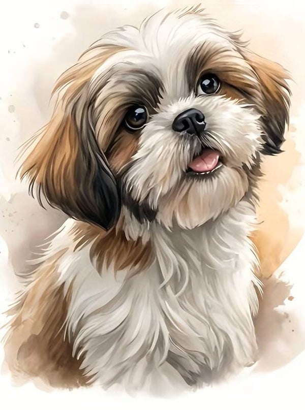 40x30cm Diamond Painting Shih Tzu hondje nr 686