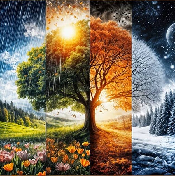 nr 326 Diamond Painting seizoens boom 30x30cm