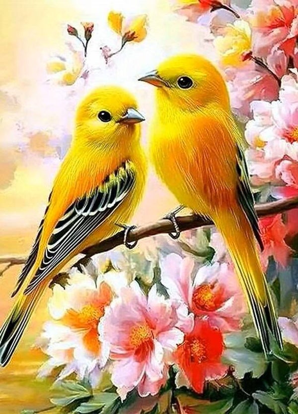 nr 144 Diamond Painting vogels bloementak 50x40cm (rond)
